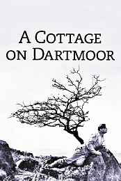 A Cottage on Dartmoor