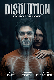 Disolution