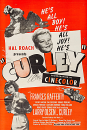 Curley