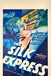 The Silk Express
