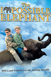 The Incredible Elephant