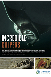 Incredible Gulpers