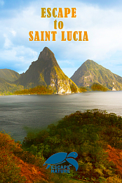 Escape to Saint Lucia