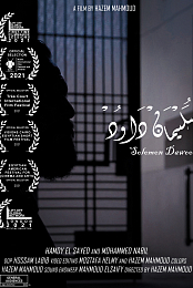 Solomon DVD-R