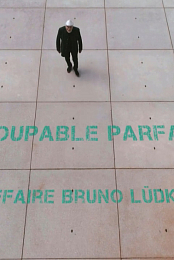 Die Erfindung eines Morders: Der Fall Bruno Ludke