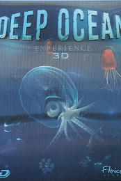 Deep Ocean Experience