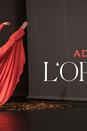 Saying Goodbye to the Opera
