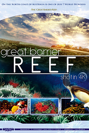Great Barrier Reef 4K