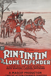 The Lone Defender