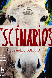 Scenarios