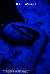 Blue Whale