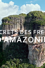 Les secrets des fresques d'Amazonie