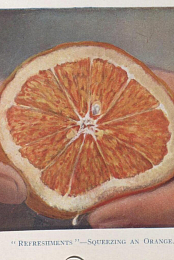Refreshments