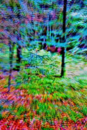 River of Time