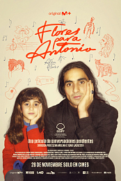 Flores para Antonio