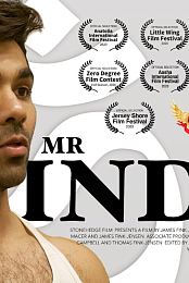 Mr India