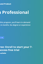 Google UX Design Professional Certificate