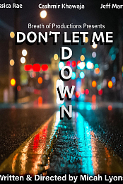Don't Let Me Down