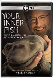 Your Inner Fish