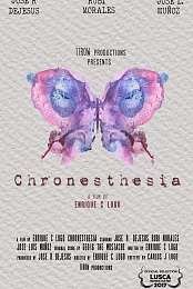 Chronesthesia.2016.720p.WEBRip.x264-iNTENSO