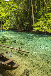 Escape to Vanuatu