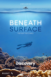 Beneath the Surface: The Fight for Corals