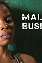 Malaria Business