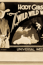The Wild Wild West