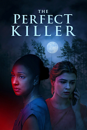 The Perfect Killer