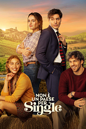 Non e un paese per single 2026 1080p AMZN WEB-DL DD 5 1 H 264-playWEB