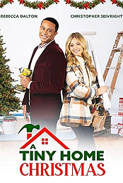 A Tiny Home Christmas
