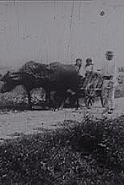 Dragus (1929) 720p WEBRip-WORLD