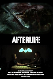 Afterlife