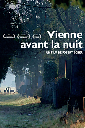Vienne avant la nuit