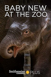 Baby New at the Zoo