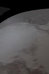 Capsule