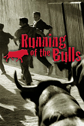 Running of the Bulls