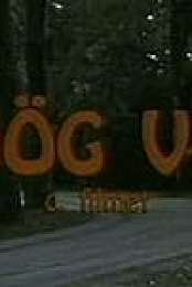 Ordog vigye