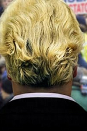 Wilders, the Movie