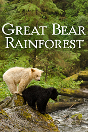Great Bear Rainforest