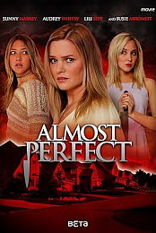 The Perfect Mother