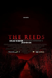 The Reeds
