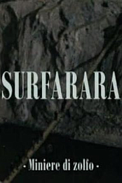 Surfarara