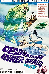 Destination Inner Space
