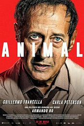 Animal