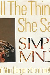 Simple Minds: All the Things She Said