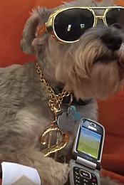 DoggyStyle What's My Name