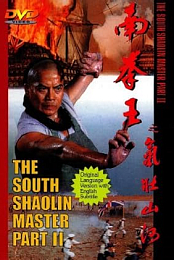 South Shaolin Master 2 [1985] x264 DVDrip(KungFu)