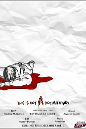 This Is Not a Documentary