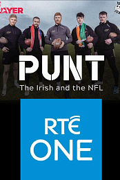 Punt: The Irish & the NFL